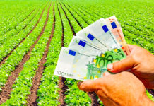 CJ Arad la ora bilanțului: 46 de proiecte finanțate prin POR în județul Arad. Valoarea totală : 159 milioane euro