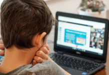 A 6-a ediţie a Şcolii de Gemmaeterapie – organizată online