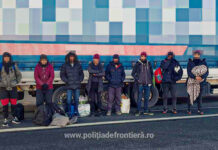 Opt cetățeni afgani ascunși într-un tir, opriți din drum la PTF Nădlac