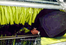 29 de cetăţeni străini, depistaţi ascunşi într-un TIR la PTF Nădlac II