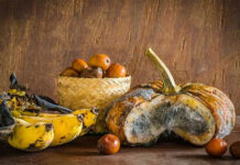 Control al DSP Arad la centrele pentru vârstnici: mâncare stricată, pâine mucegăită și medicamente expirate