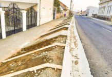 Iustin Cionca, președinte CJ Arad: „Lucrăm la cămășuiri, în Șiria”