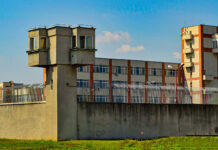 Penitenciarul Arad şi-a deschis o secţie externă cu 30 de locuri la o fermă de porci, prin parteneriat public-privat