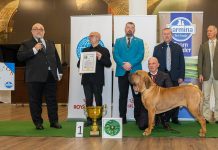 Record istoric în chinologia românească: Zafer Vigor, „Câinele Anului 2025”, vine din Arad
