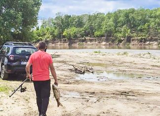 Braconaj piscicol în Lunca Mureșului: doi bărbați prinși pescuind ilegal în prohibiție