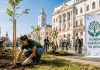 Peste 36.000 de arbori vor fi plantați în județul Arad printr-o campanie inițiată de senatorul Glad Varga