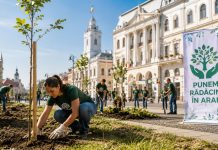 Peste 36.000 de arbori vor fi plantați în județul Arad printr-o campanie inițiată de senatorul Glad Varga