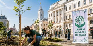Peste 36.000 de arbori vor fi plantați în județul Arad printr-o campanie inițiată de senatorul Glad Varga