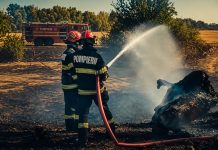 Incendiile de vegetație au făcut ravagii în Arad. Opt hectare afectate